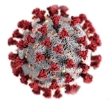 coronavirus19